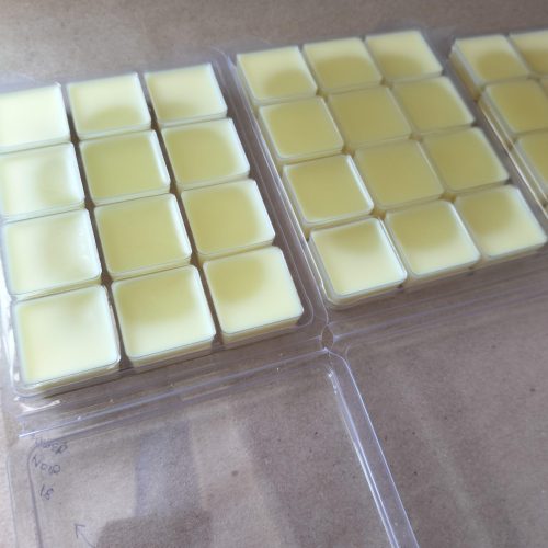 12 Cavity Wax Melts